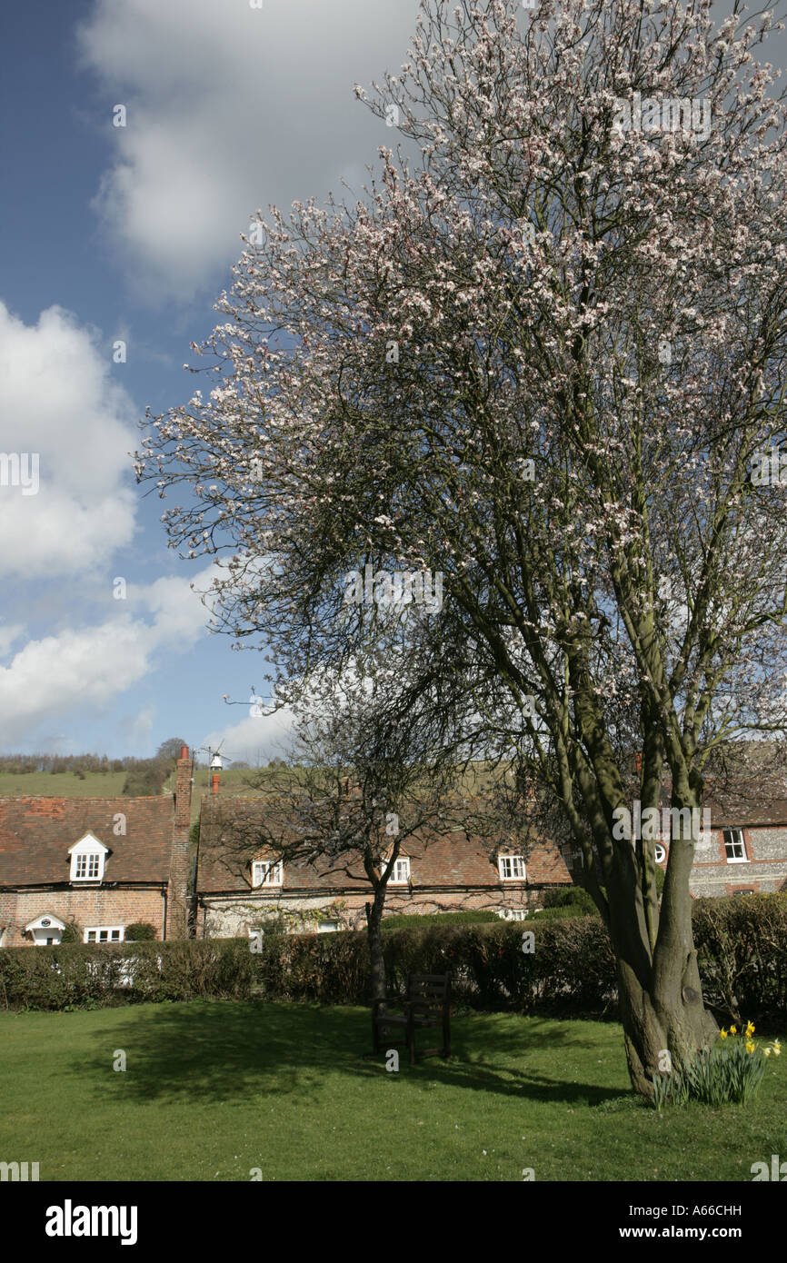L'église du village et le moulin de cour à Turville dans Buckinghamshire Angleterre Grande-bretagne UK Banque D'Images