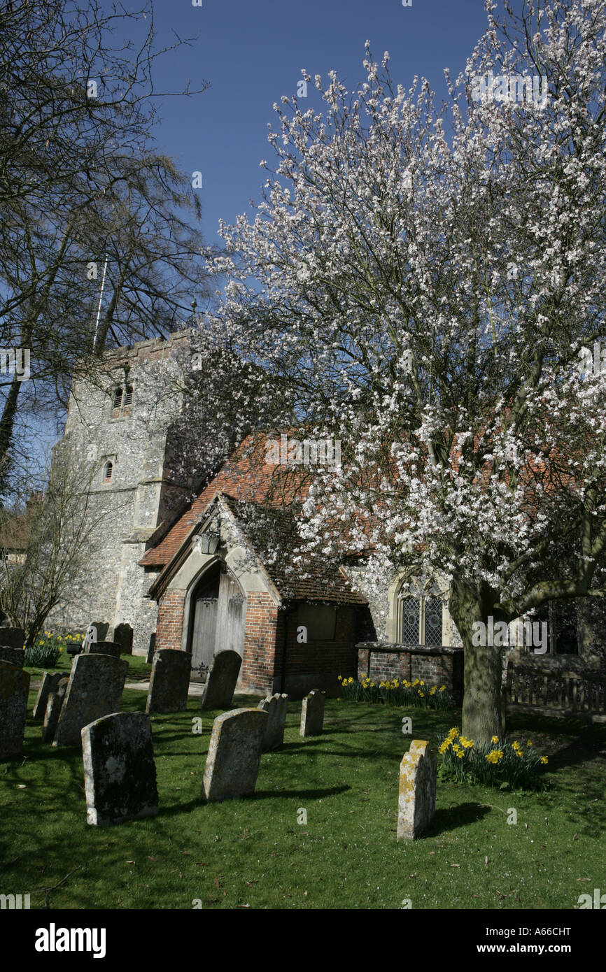 L'église du village à Turville dans les Chilterns Banque D'Images