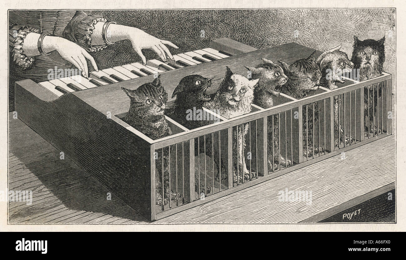 Piano à chat Banque de photographies et d'images à haute résolution - Alamy