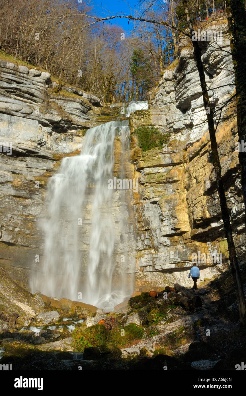 Le 'Le Grand Saut' cascade dans la chaîne des chutes sur la rivière Hérisson dans le Jura français Banque D'Images Le 'Le Grand Saut' cascade dans la chaîne des chutes sur la rivière Hérisson dans le Jura français Banque D'Images