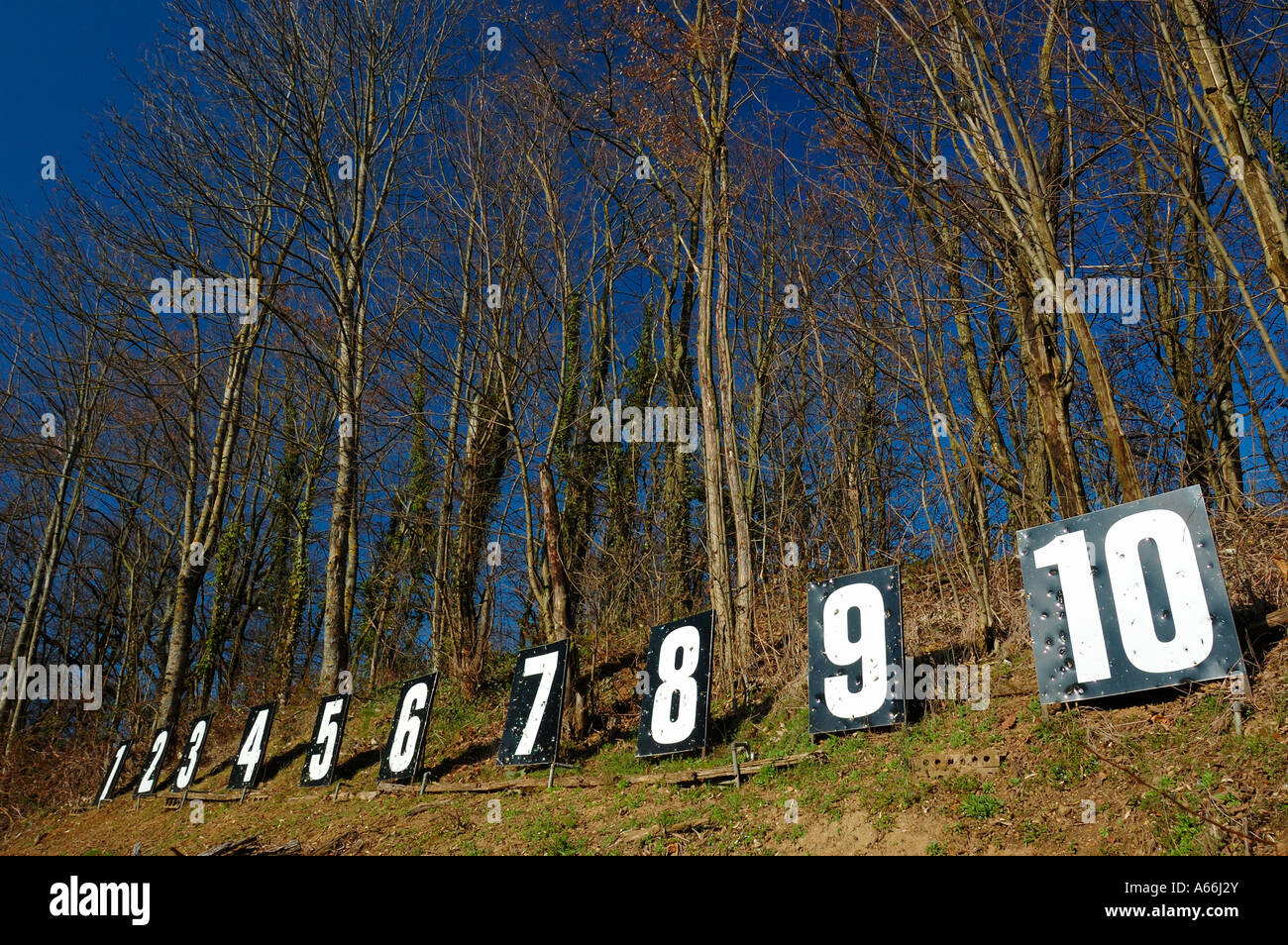Une ligne de nombres dans un bois marquant la position cible d'un tir de Suisse (stand de tir) Banque D'Images