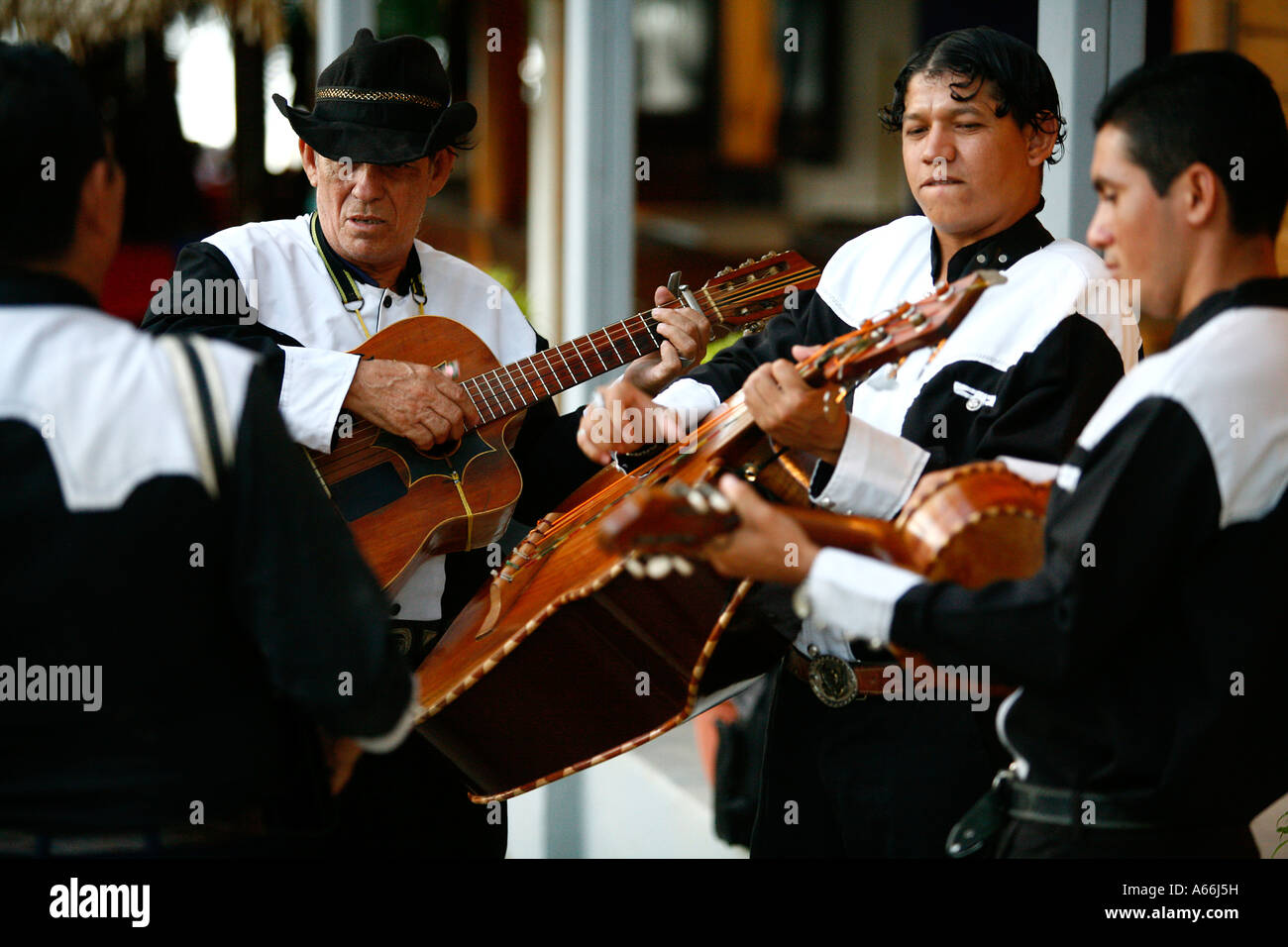 Un groupe de musiciens locaux Tamarindo Costa Rica Péninsule de Nicoya Banque D'Images