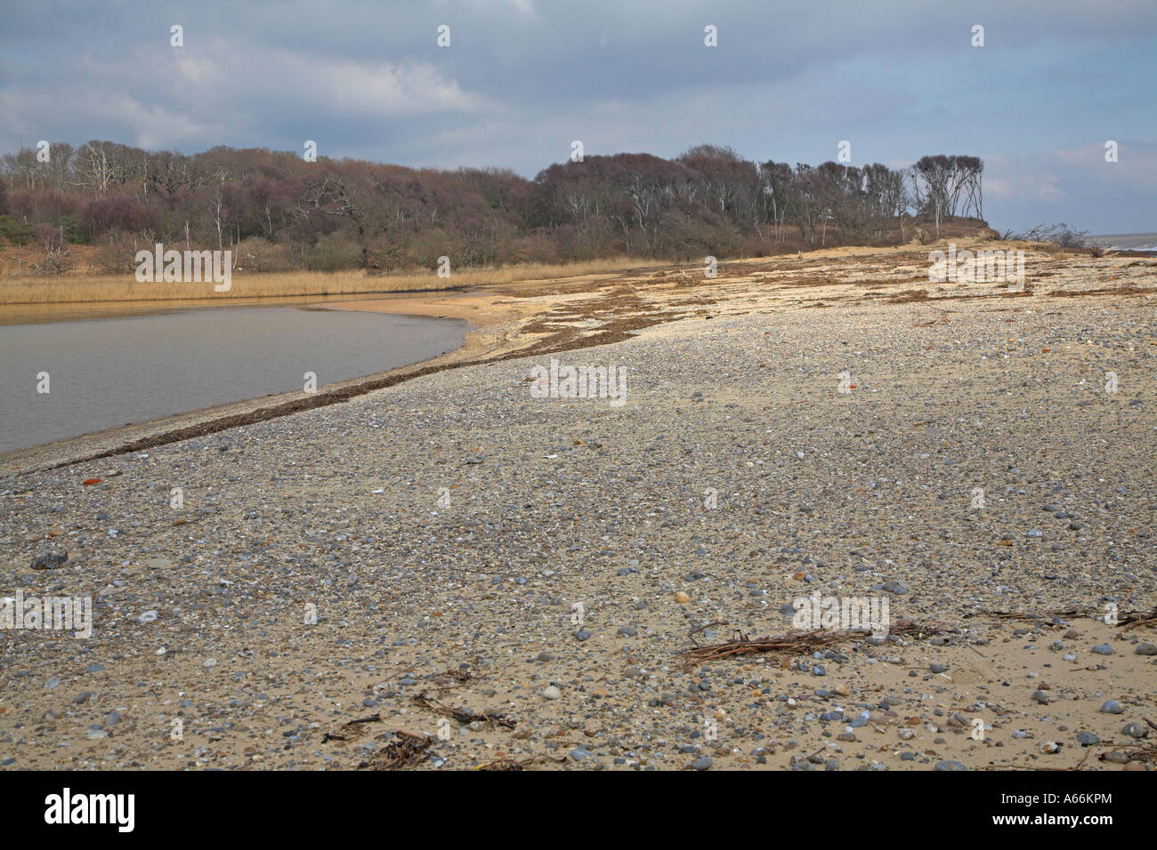 La plage et le lagon large Benacre Suffolk Angleterre Banque D'Images