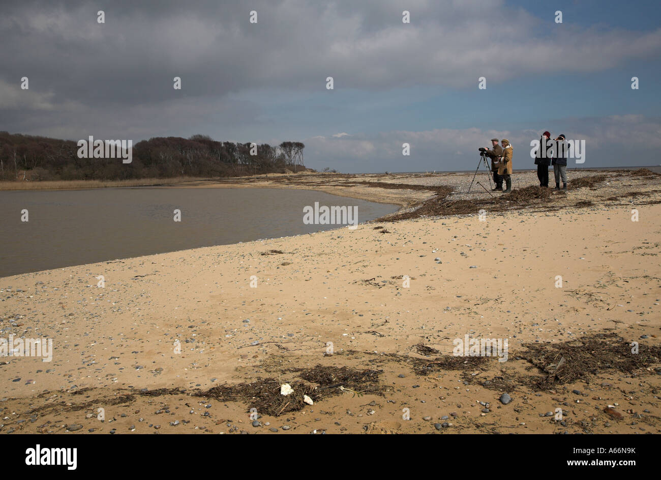 Benacre vaste lagon et plage de galets Suffolk Angleterre Banque D'Images