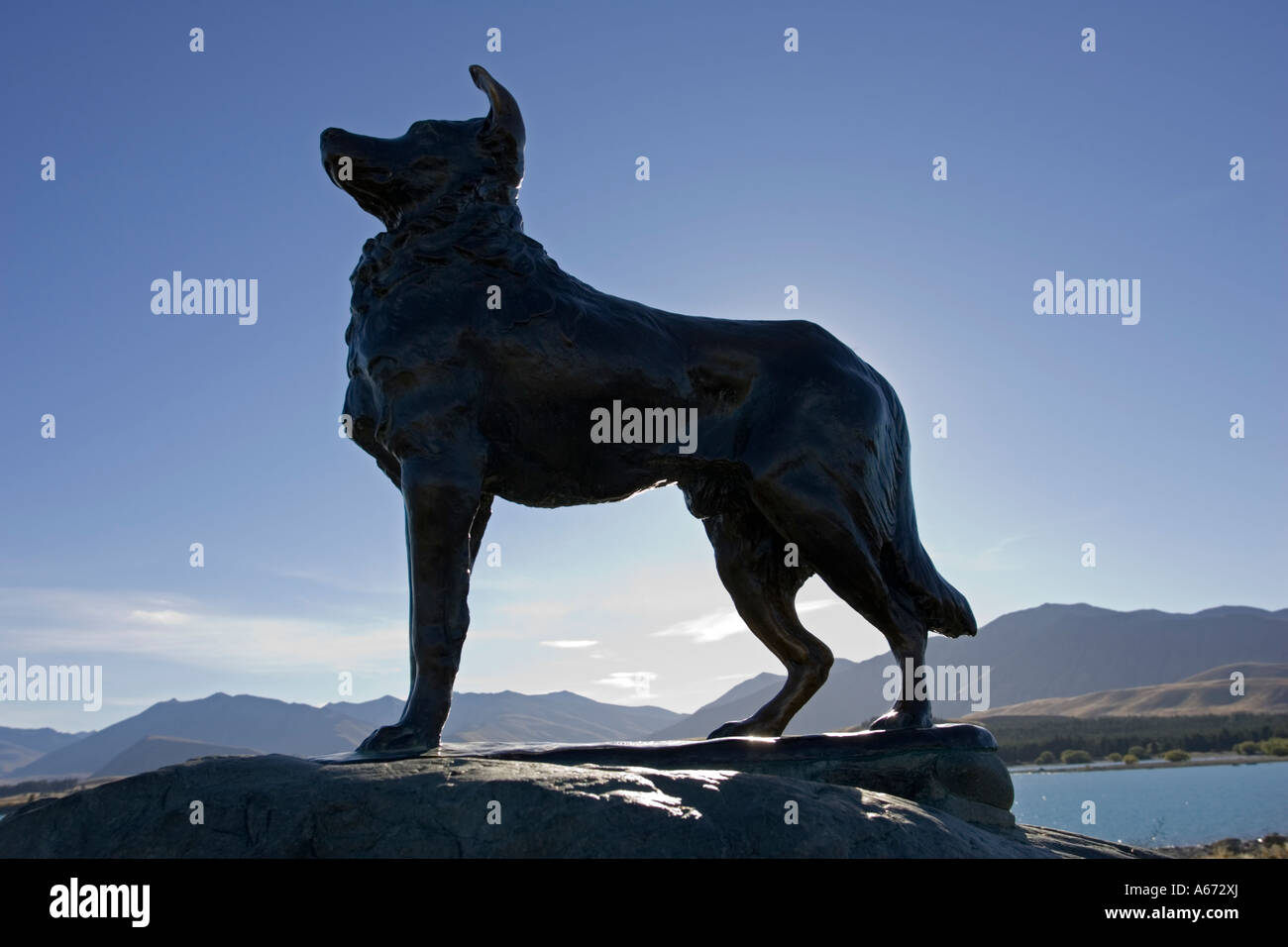 Sheep Dog Lake Tekapo Memorial Centre ile sud Nouvelle Zelande Banque D'Images