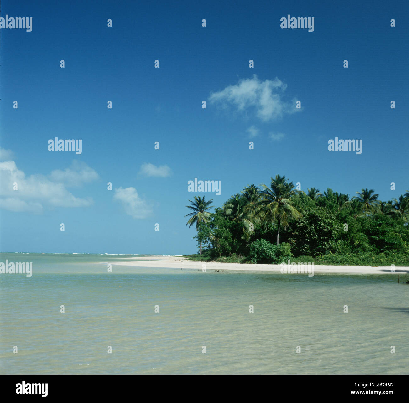 Île tropicale dans l'océan Pacifique Sud Banque D'Images