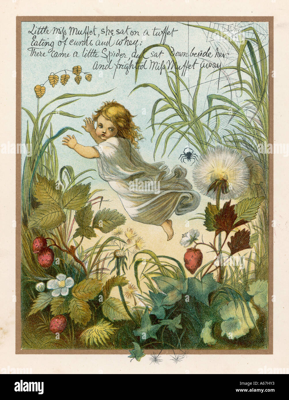 Little Miss Muffet Evb Banque D'Images