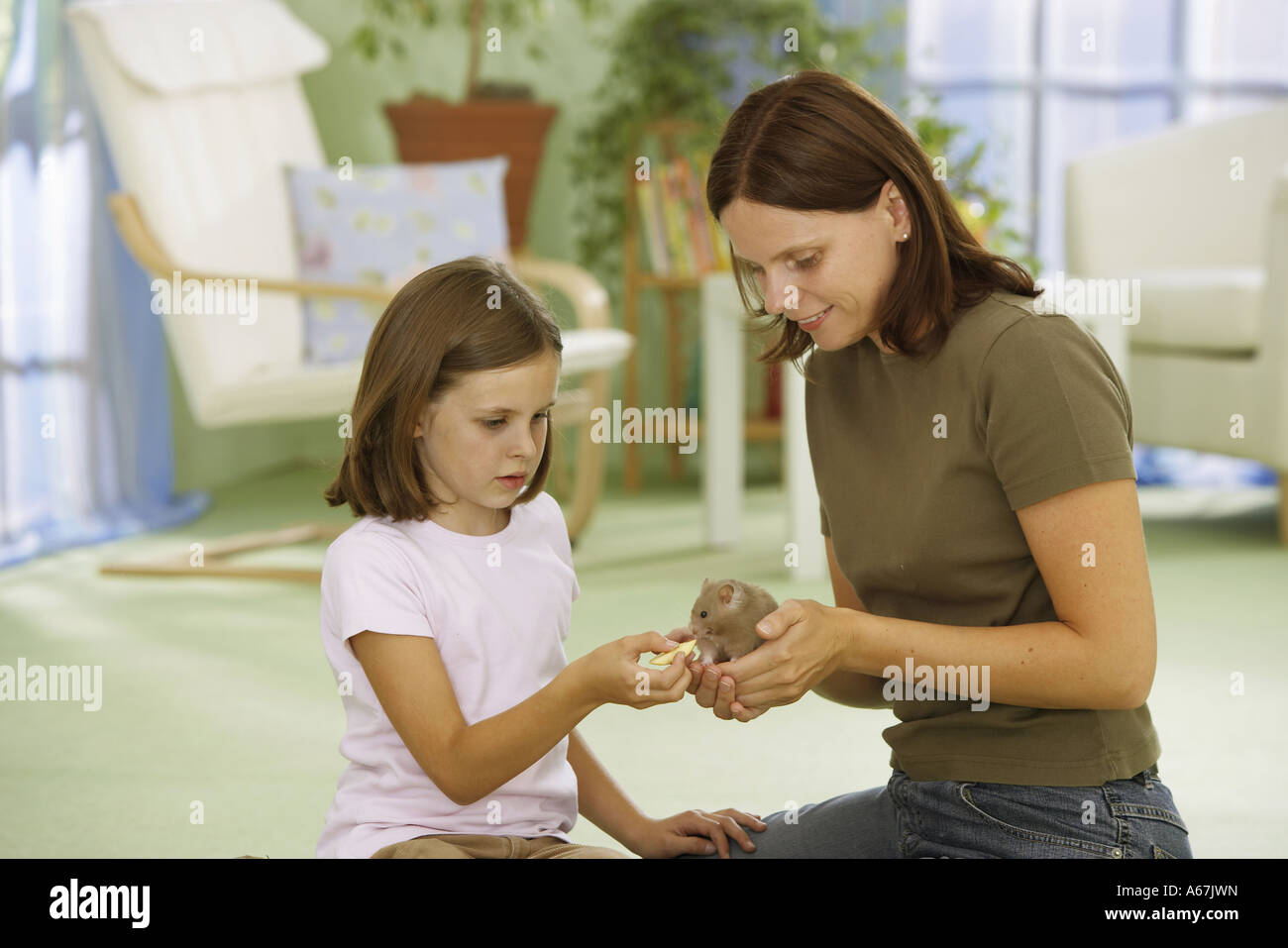Femme et fille avec hamster doré / Mesocricetus auratus Banque D'Images