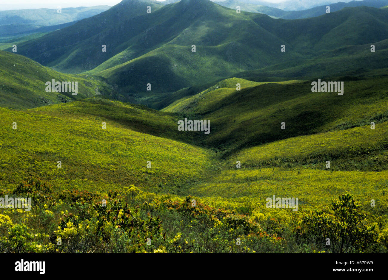 Vue panoramique sur la Montagne de la vallée de la nature de l'Afrique du Sud Garden Route Banque D'Images