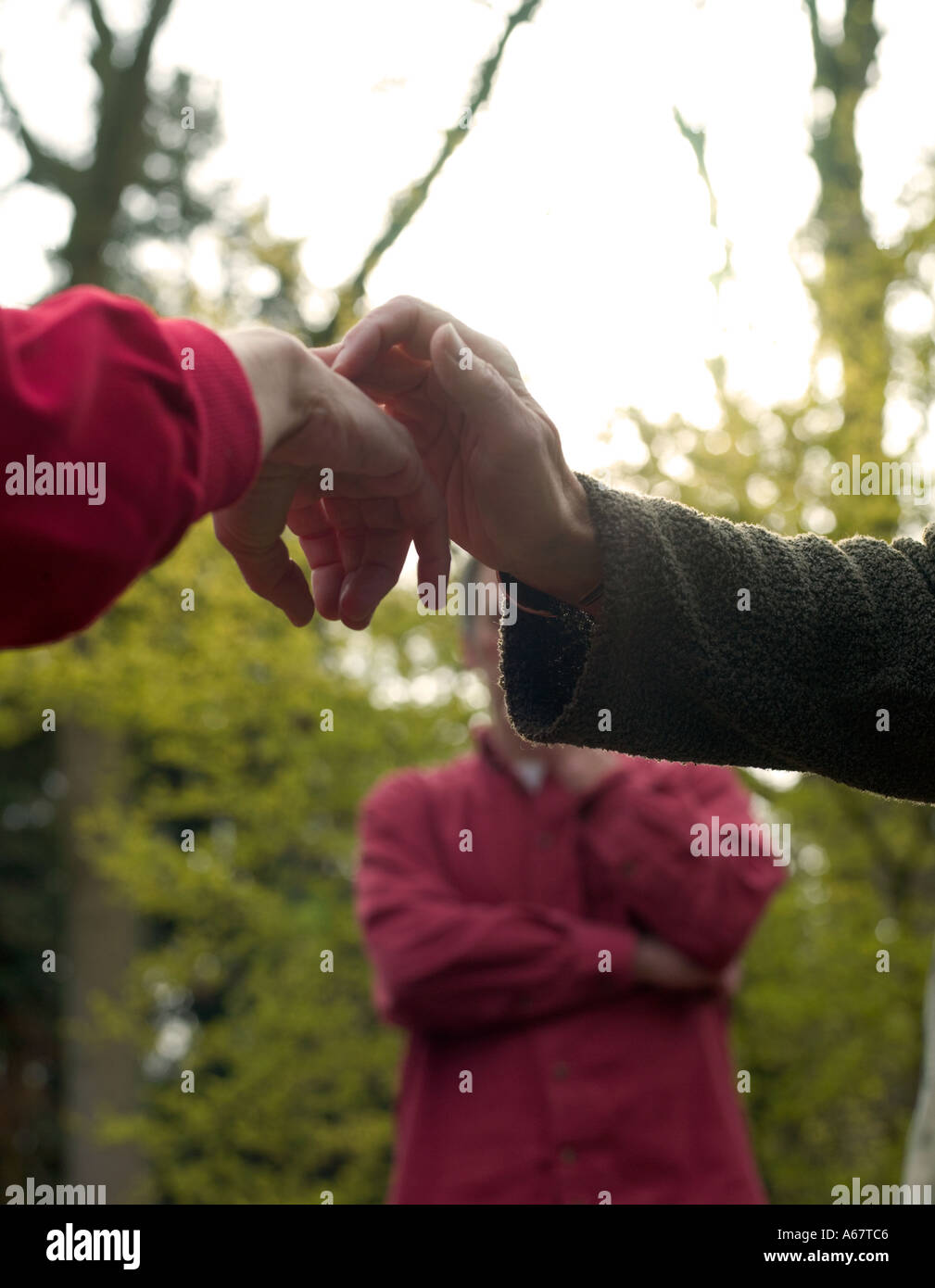 Deux personnes touchant au décor boisé close up Banque D'Images