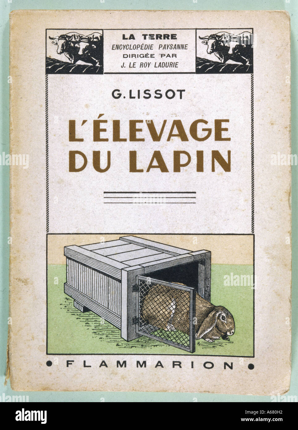 Guide de soins de lapin Banque D'Images