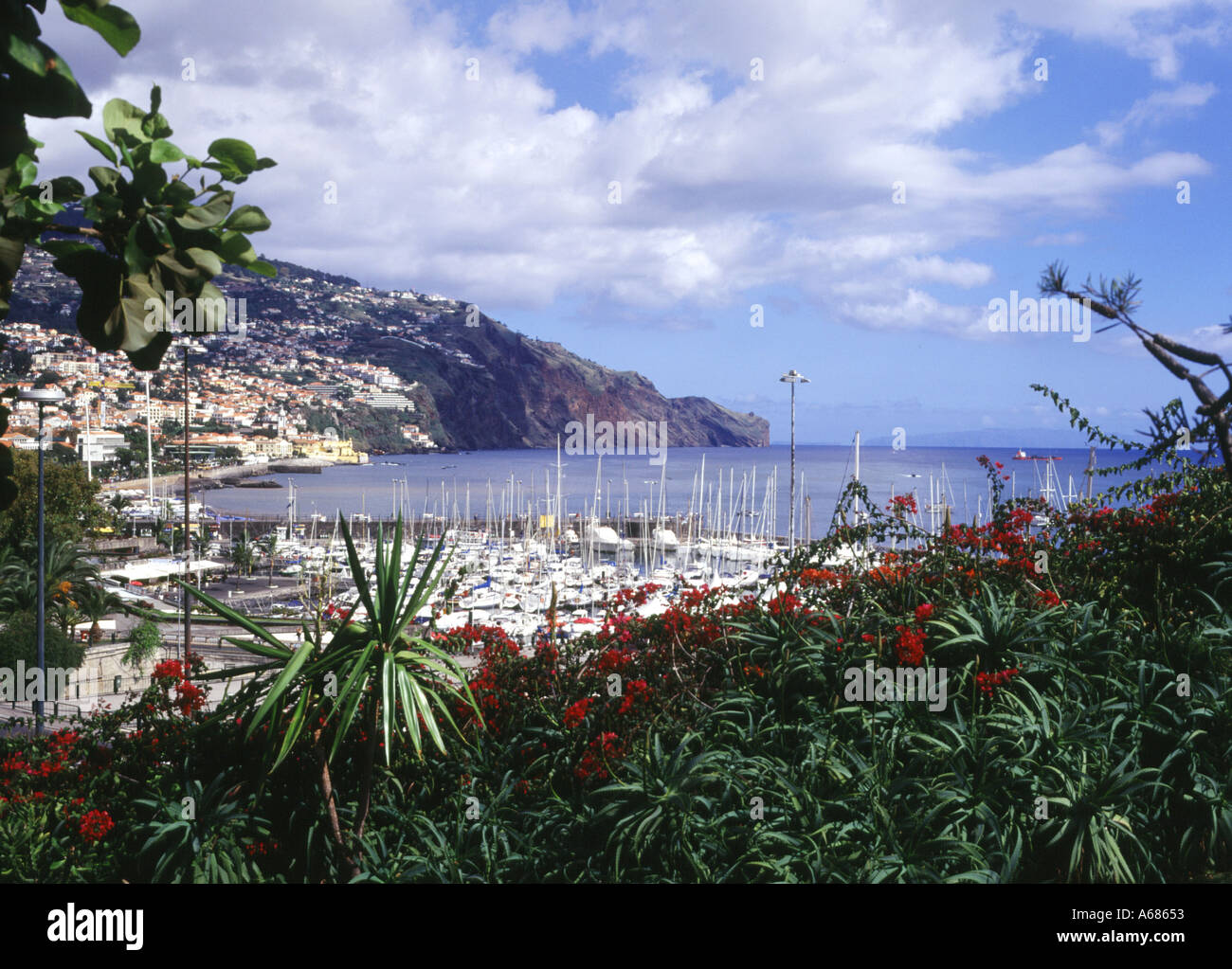 Dh port de Funchal Funchal Madeira Harbour Marina waterfront port vue fleurs disponibles Banque D'Images