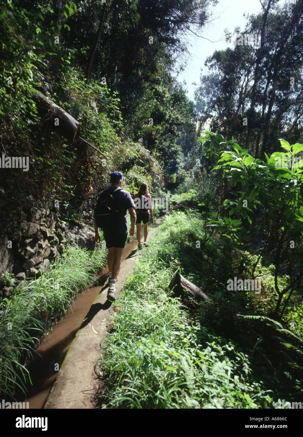 dh Levada dos Curral SOCORRIDOS VALLEY MADEIRA Walkers randonnée randonneurs vacances chemin des touristes couple ramblers marche levadas marche Portugal personnes Banque D'Images