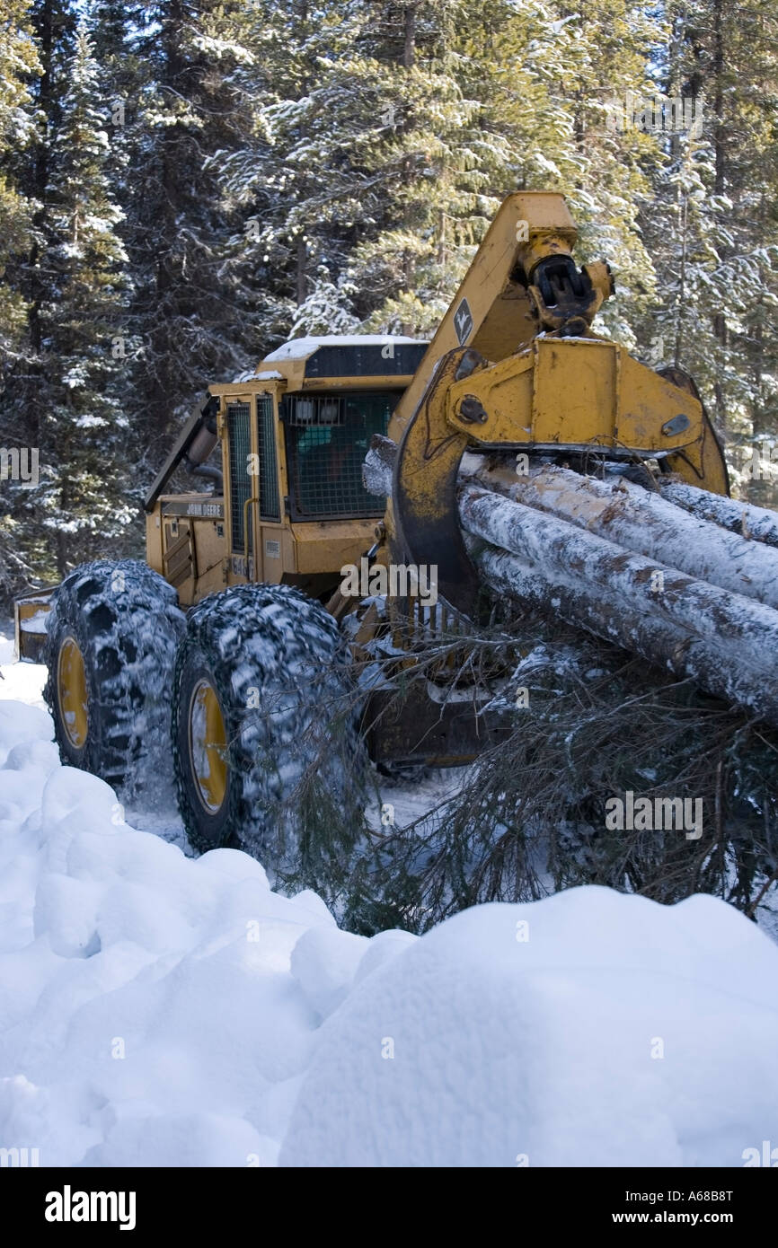 L'exploitation de bois infesté par le dendroctone du pin ponderosa Smithers Hudson Bay Mountain en Colombie-Britannique Banque D'Images