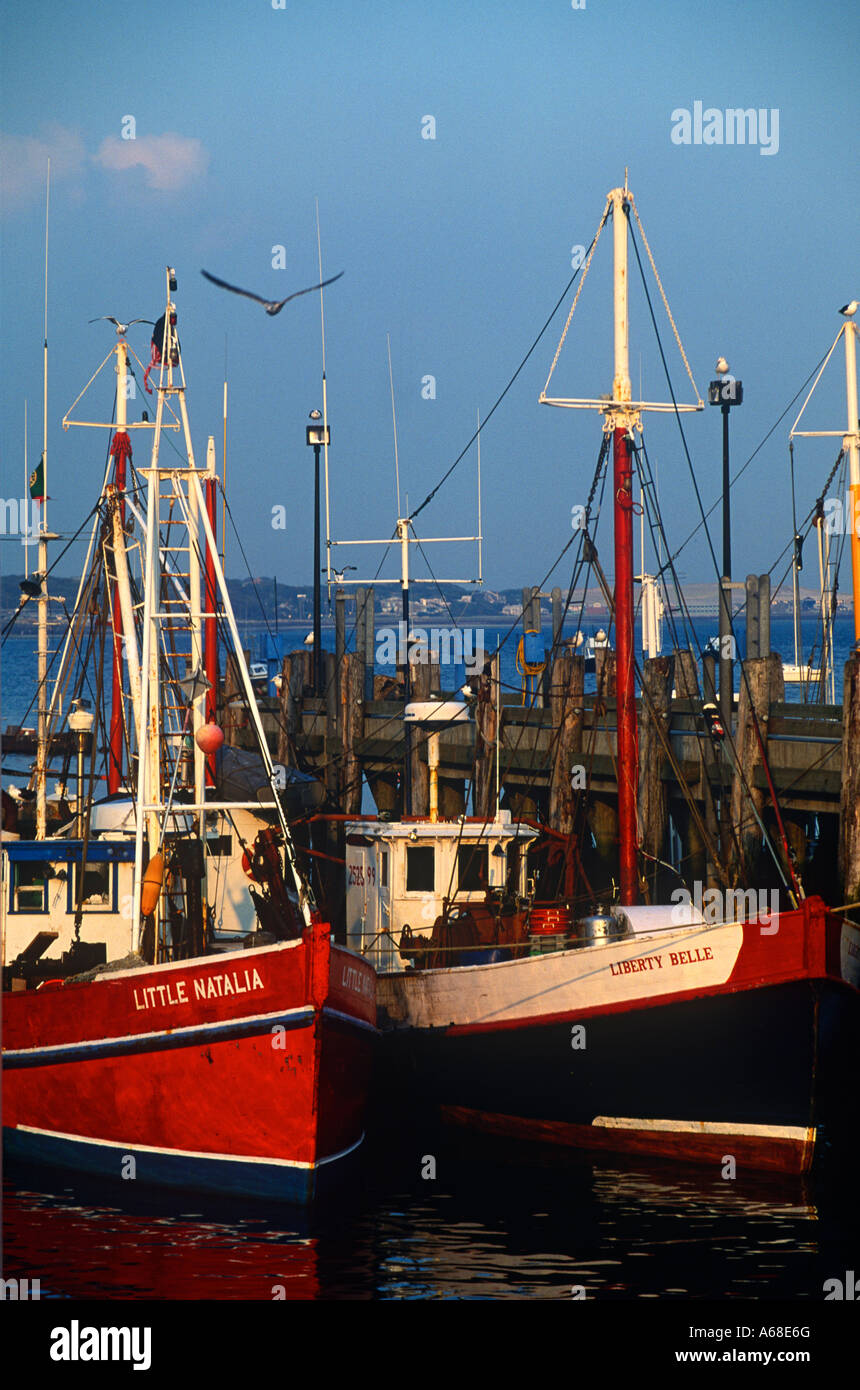 Bateaux de pêche commerciale amarré au quai MacMillan Provincetown MA Banque D'Images