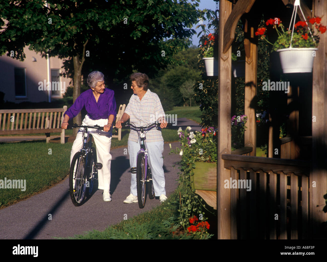 Les femmes âgées stop pour chat lors d'une ride de bile Banque D'Images