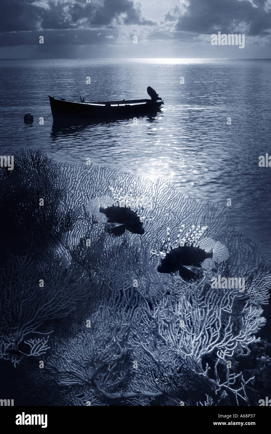 Deux sous-marins poissons-papillons et de pêche bateau sur le photomontage de surface Banque D'Images