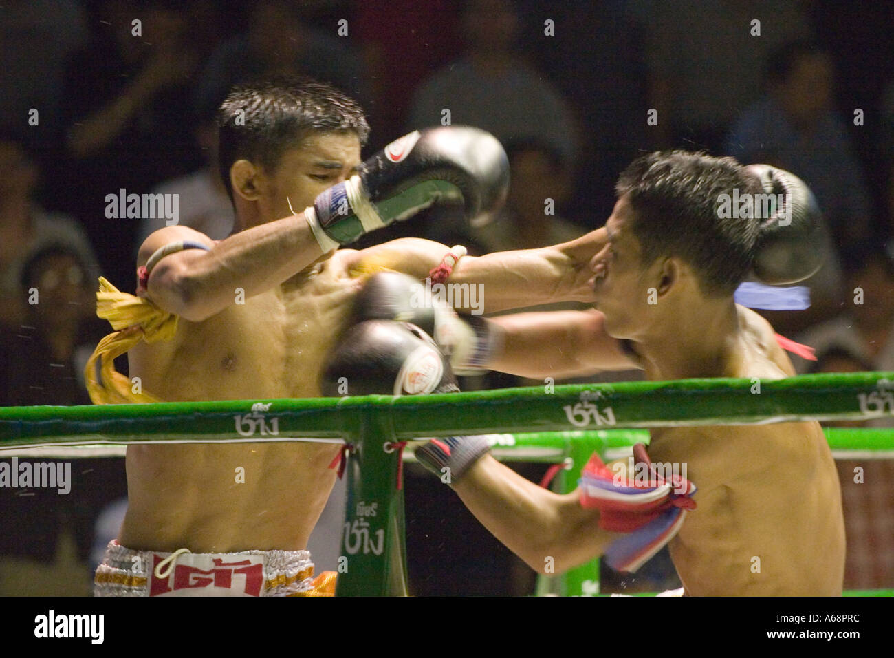 Les boxeurs thaï coups commerciaux dans l'anneau (Rajadamnern stadium, Bangkok, Thaïlande). Banque D'Images