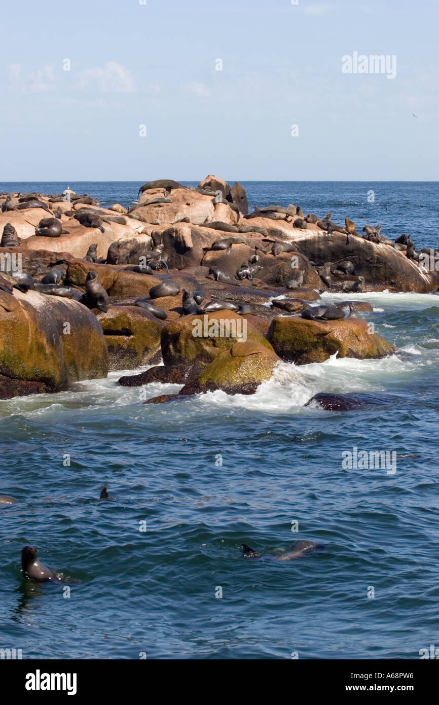 Isla de los lobos (vertical Photo Stock - Alamy