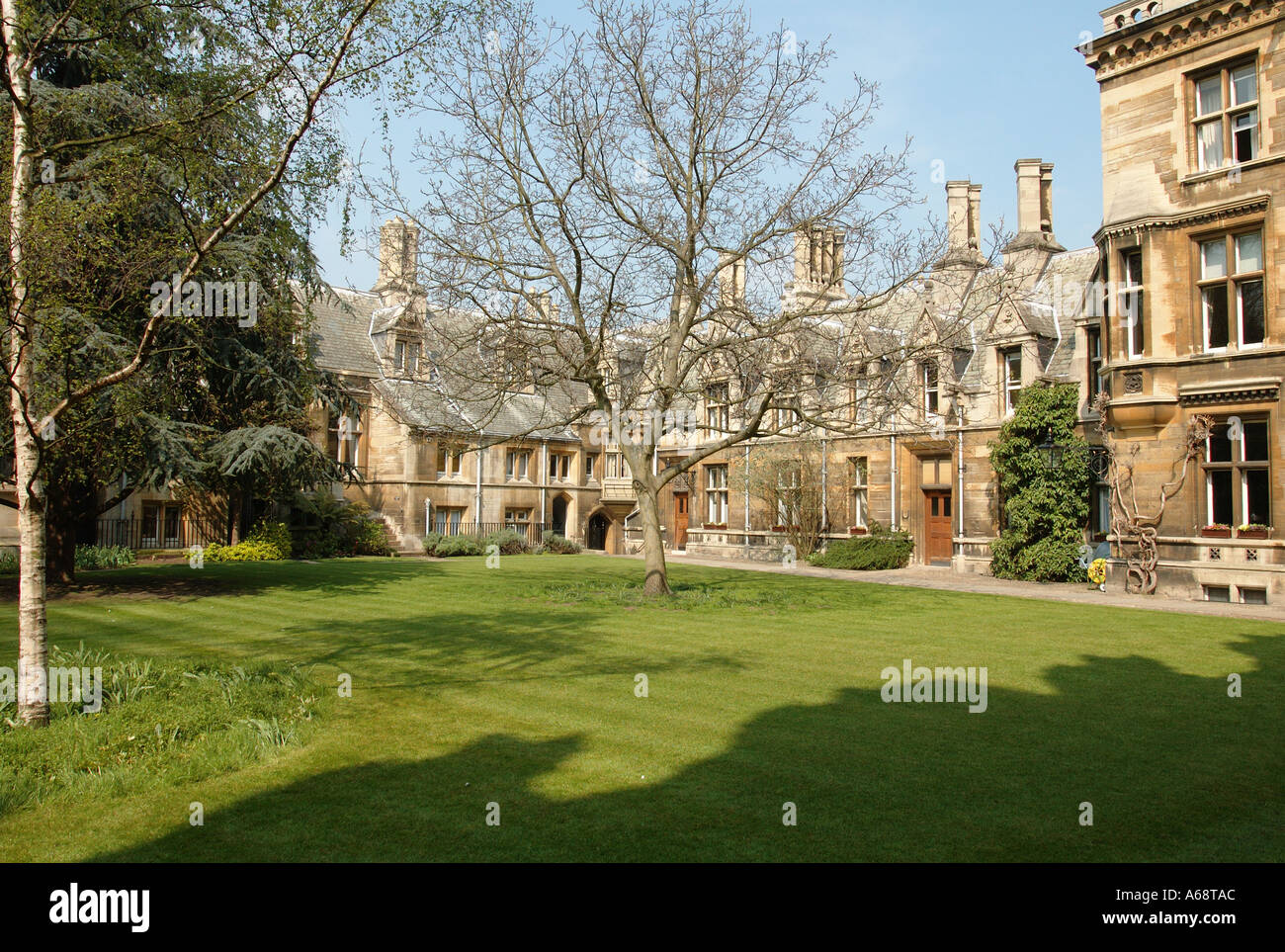 Tree Court Gonville et Caius College de Cambridge en Angleterre Banque D'Images