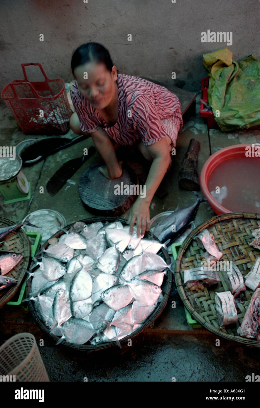 Les poissons femelles vendeur au marché vietnamien Banque D'Images