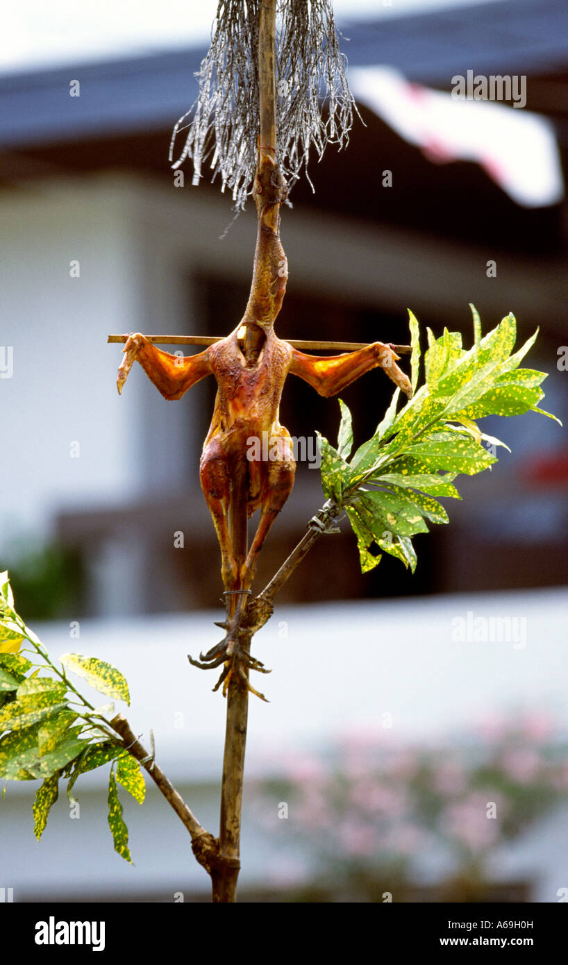 Philippines Ibajay Ati Atihan Panay religion festival poulet crucifié Banque D'Images