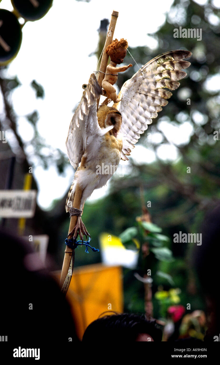 Philippines Ibajay Ati Atihan Panay religion festival dead owl sur stick Banque D'Images