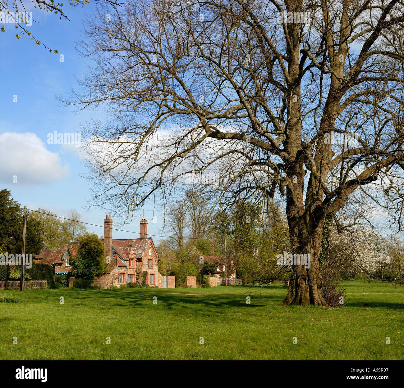 National Trust Ashridge Banque D'Images