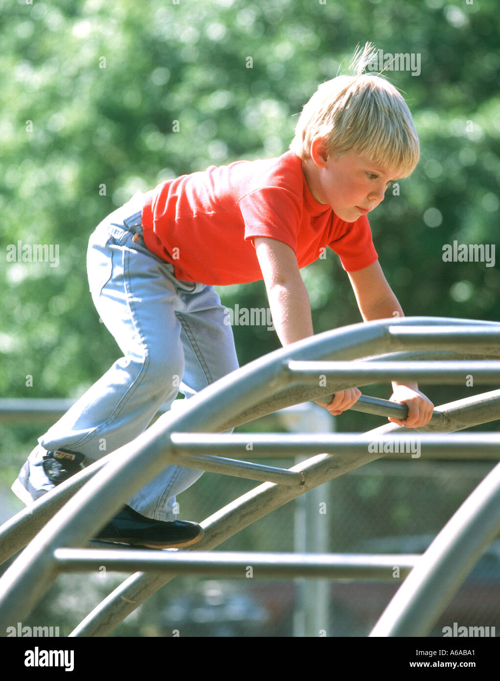 Petit garçon sur l'escalade en salle de sport jungle park Banque D'Images