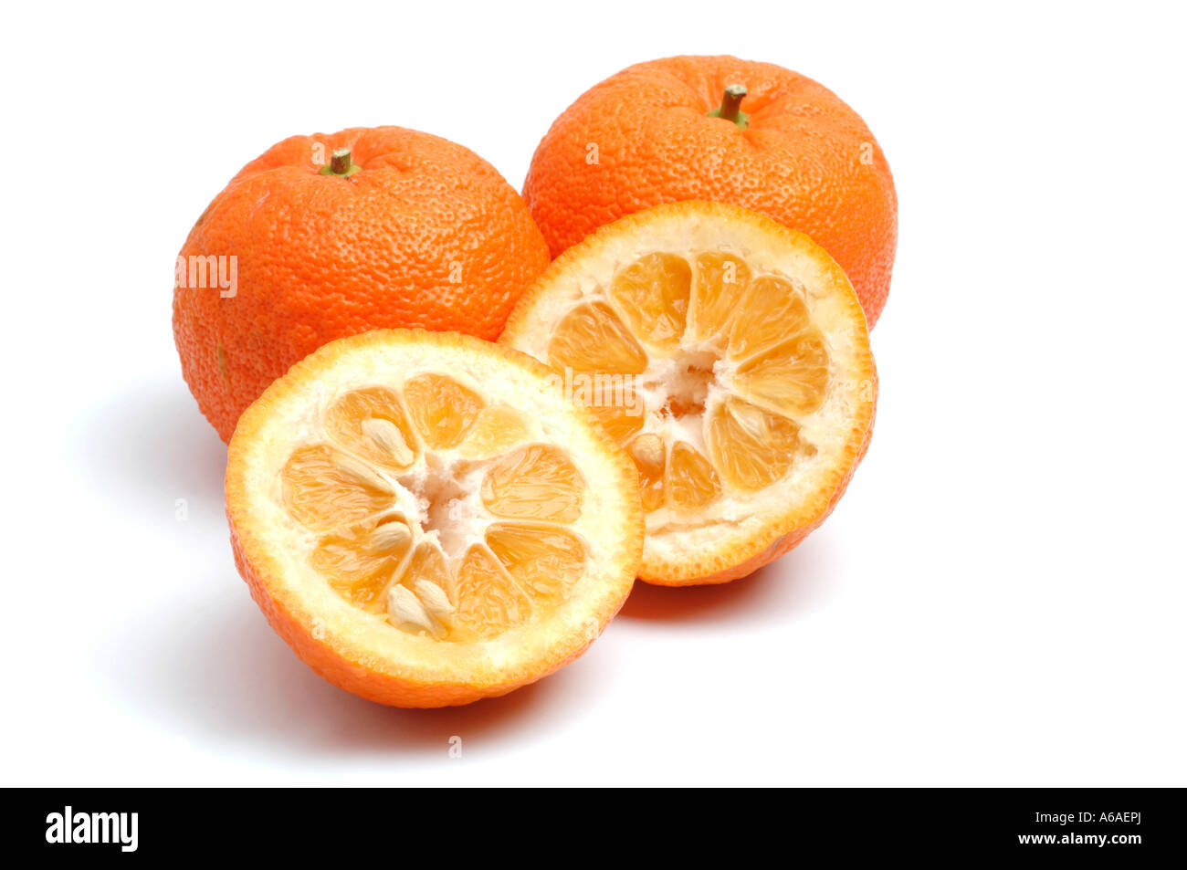 Oranges de Séville Banque D'Images