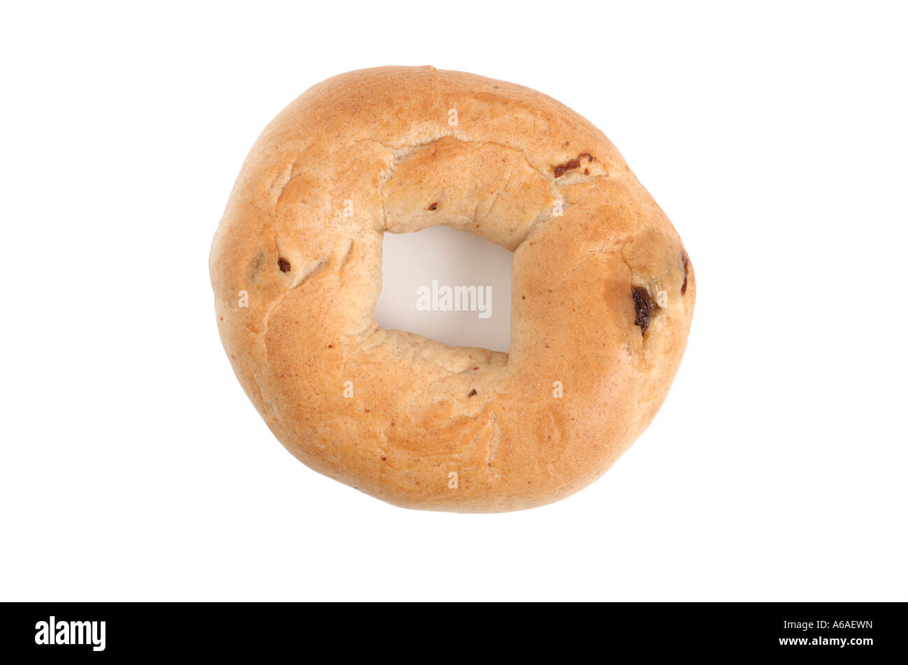 Cannelle et raisins bagel sur fond blanc Banque D'Images