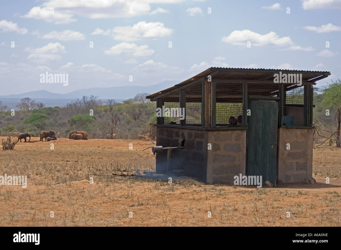 Maison de la pompe d'alimentation d'eau artificiel sanctuaire de rhinocéros Ngulia Kenya Tsavo Ouest Banque D'Images