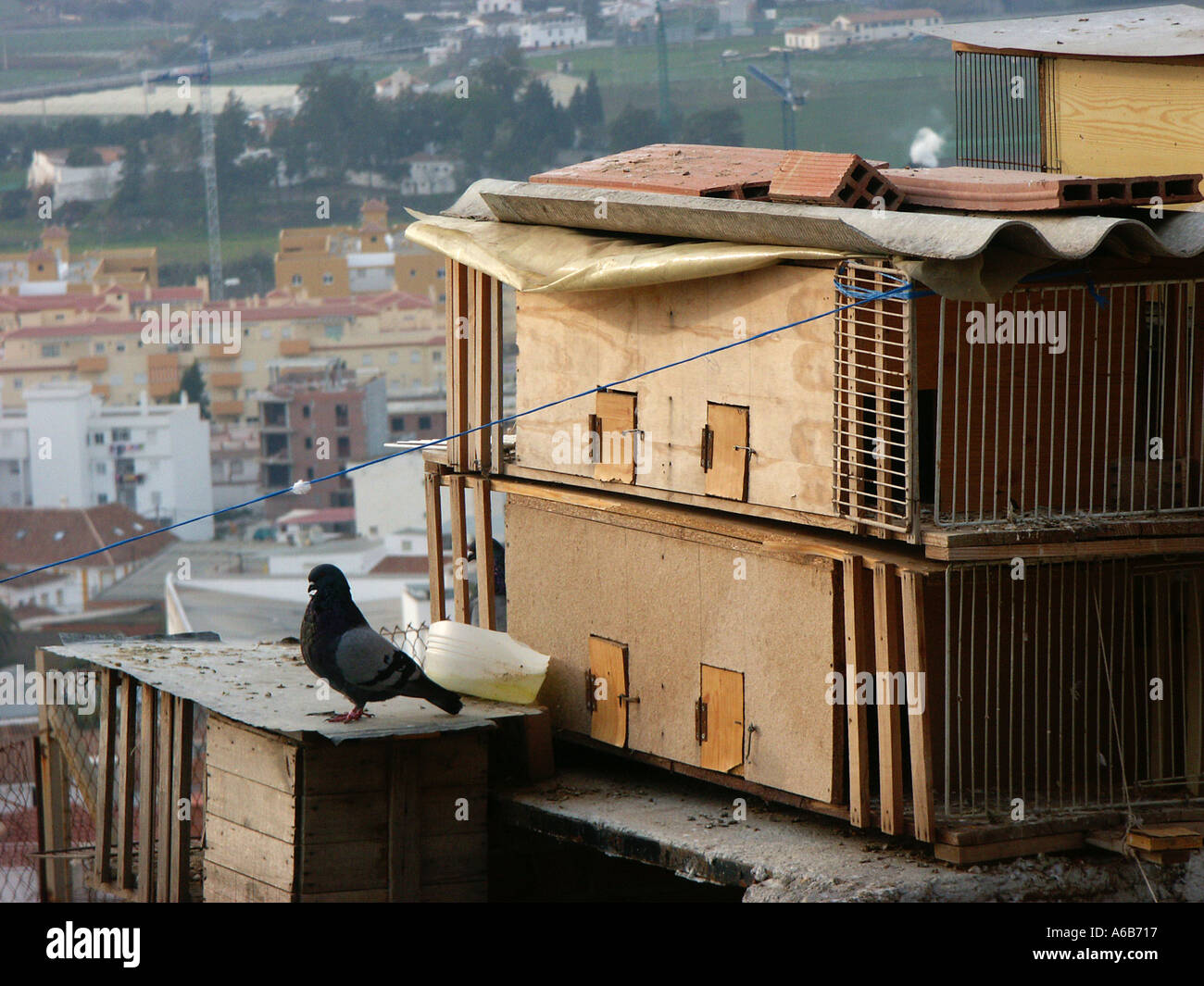 Lofts Pigeon dans vieux quartier Velez Malaga Espagne Banque D'Images
