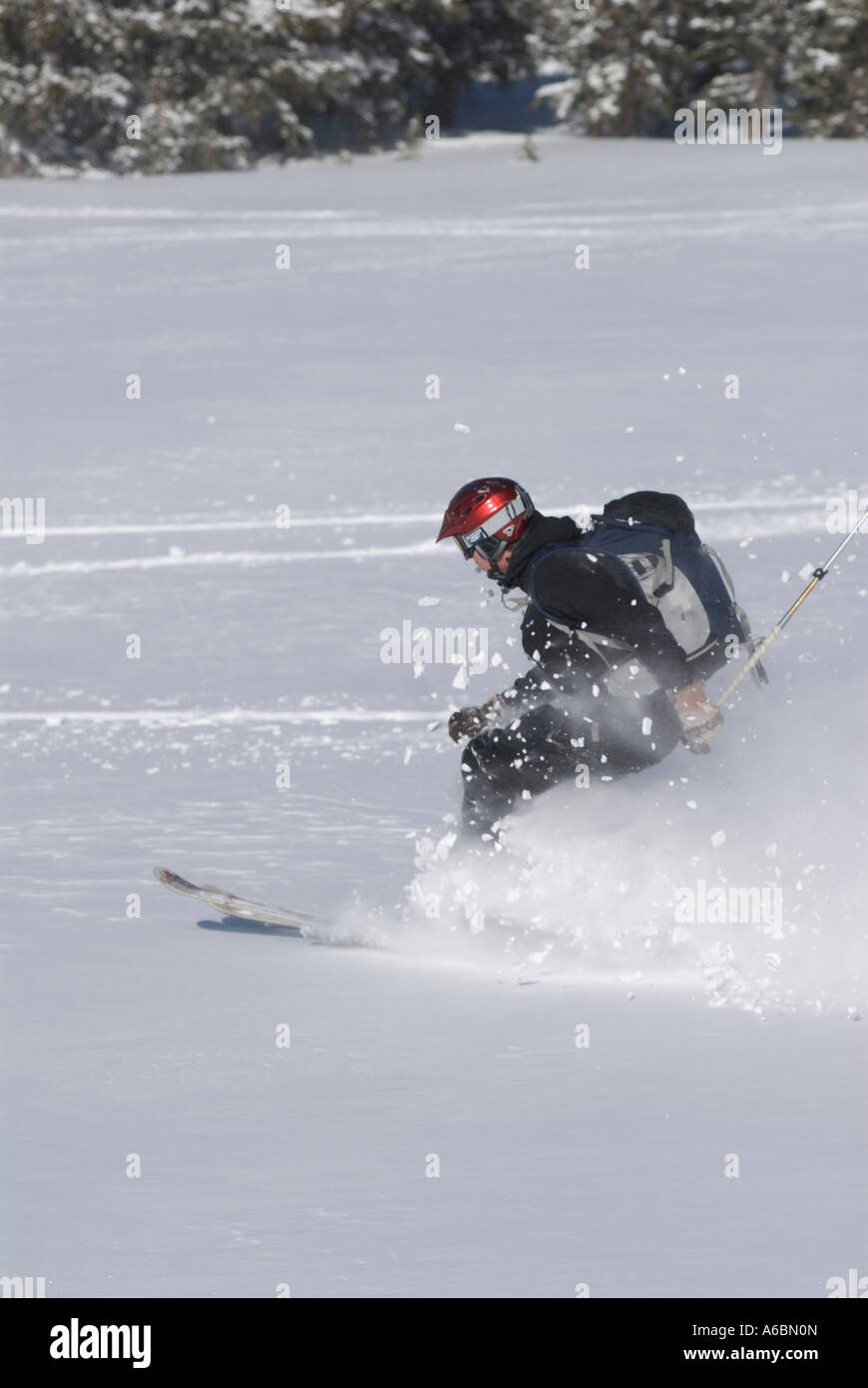 Ski alpin sur dans l'arrière-pays du Colorado Banque D'Images