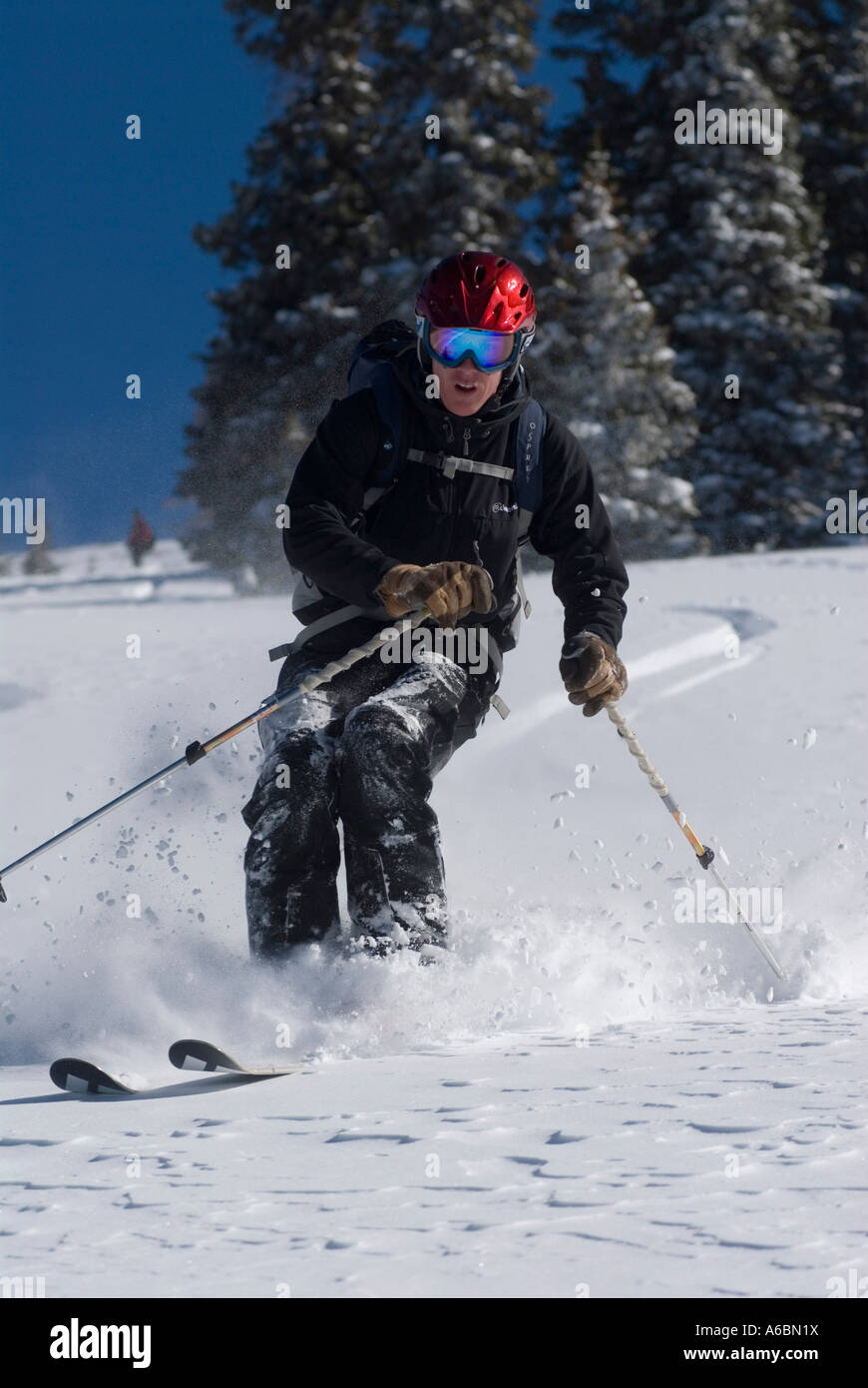 Le ski en poudre de l'arrière-pays près de New York Mountain, Colorado Banque D'Images