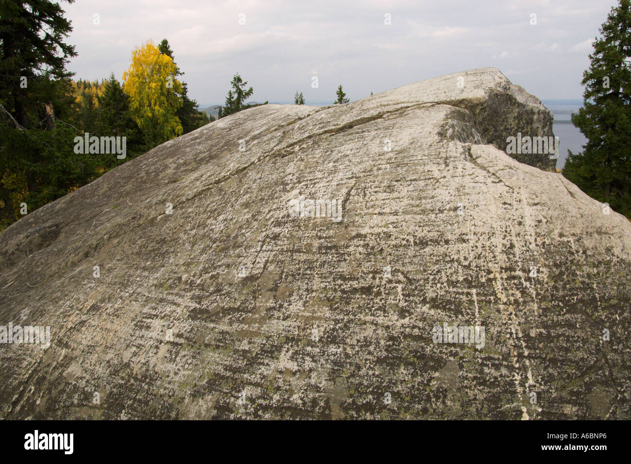 Les stries glaciaires sur les roches sur la colline surplombant le lac Pielinen Koli, en Carélie, Finlande Banque D'Images