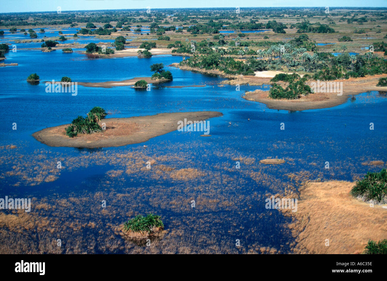 Okovango centrale vue aérienne des îles et d'eau du centre de l'Okovango située dans le Delta Okovango Botswana Banque D'Images