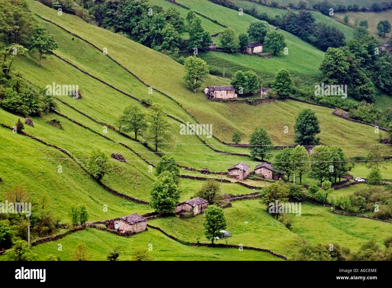 Vue sur les champs et les vallées de la Vega de pas cantabria espagne Banque D'Images