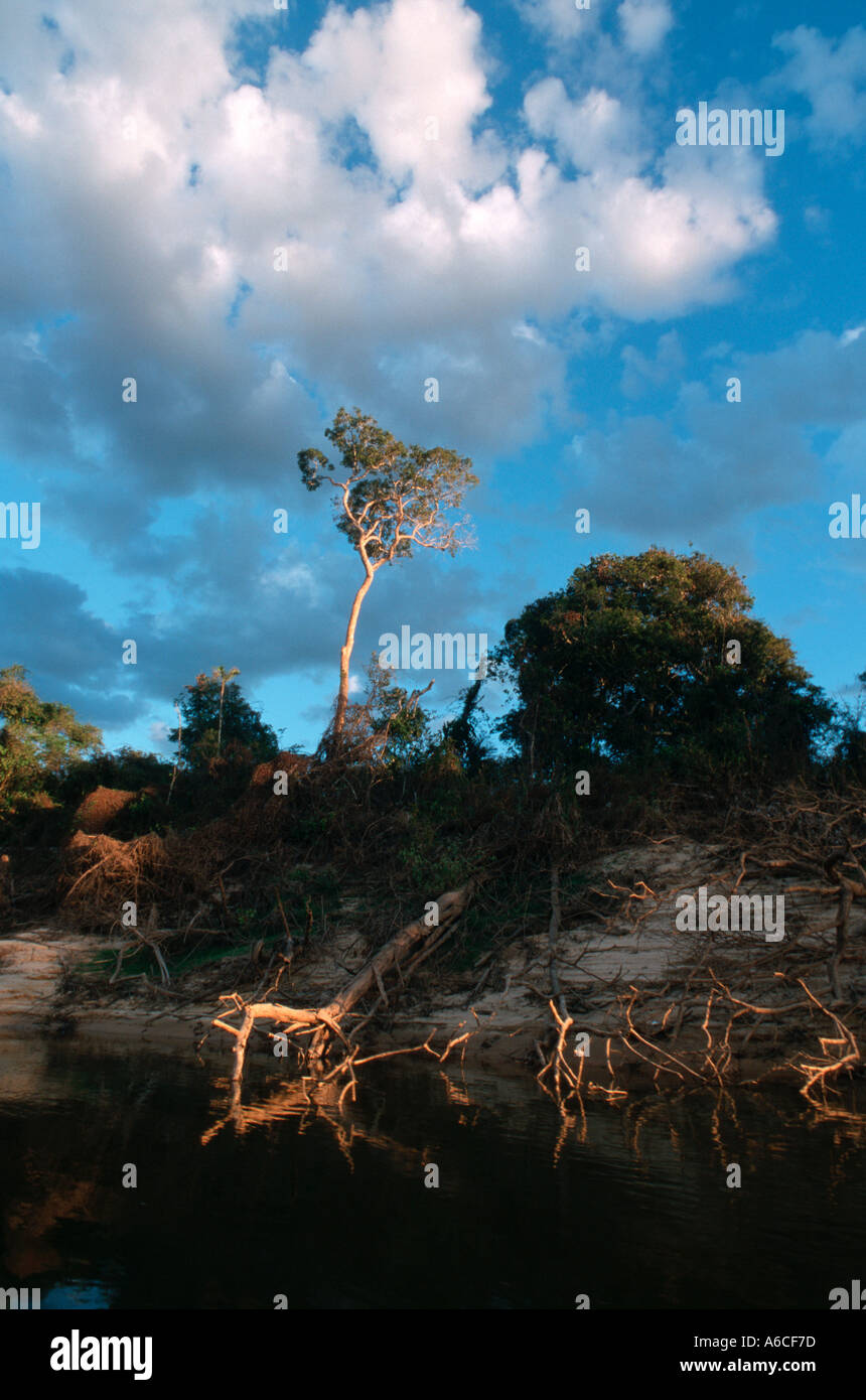 River Javaés Félice Ilha do Tocantins Brésil Banque D'Images