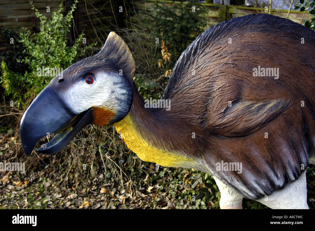 Oiseau Préhistorique Diatryma Créature Oiseau Disparu