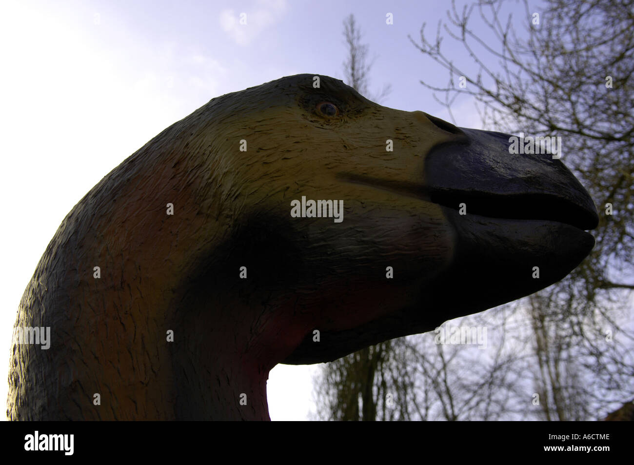 Créature oiseau préhistorique diatryma bec oiseau disparu paleocne géant herbivore carnivore éocène Banque D'Images