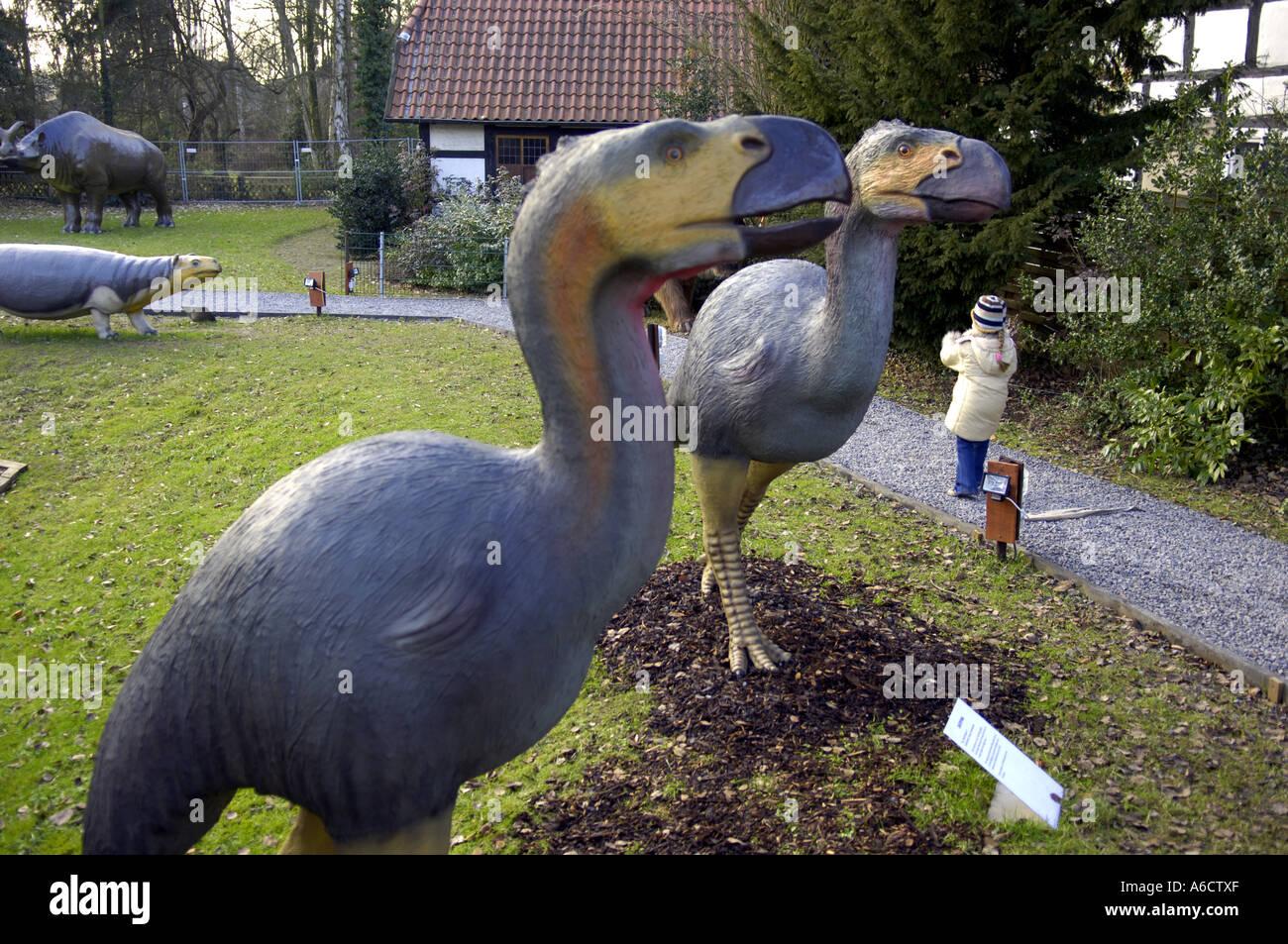 Animal préhistorique grand grand grand sauvage massif nature détail oeil naturel bec d'oiseau kid enfant jeune bambin diatryma flightle Banque D'Images