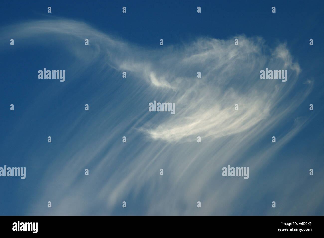Nuage Cirrus, mare's Tail Banque D'Images
