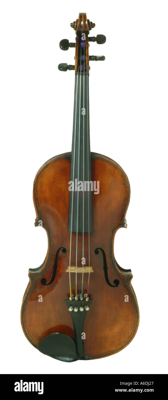 Giovan Paolo maggini brelcia violon découpe studio cut out fond blanc  décrochage knockout Photo Stock - Alamy