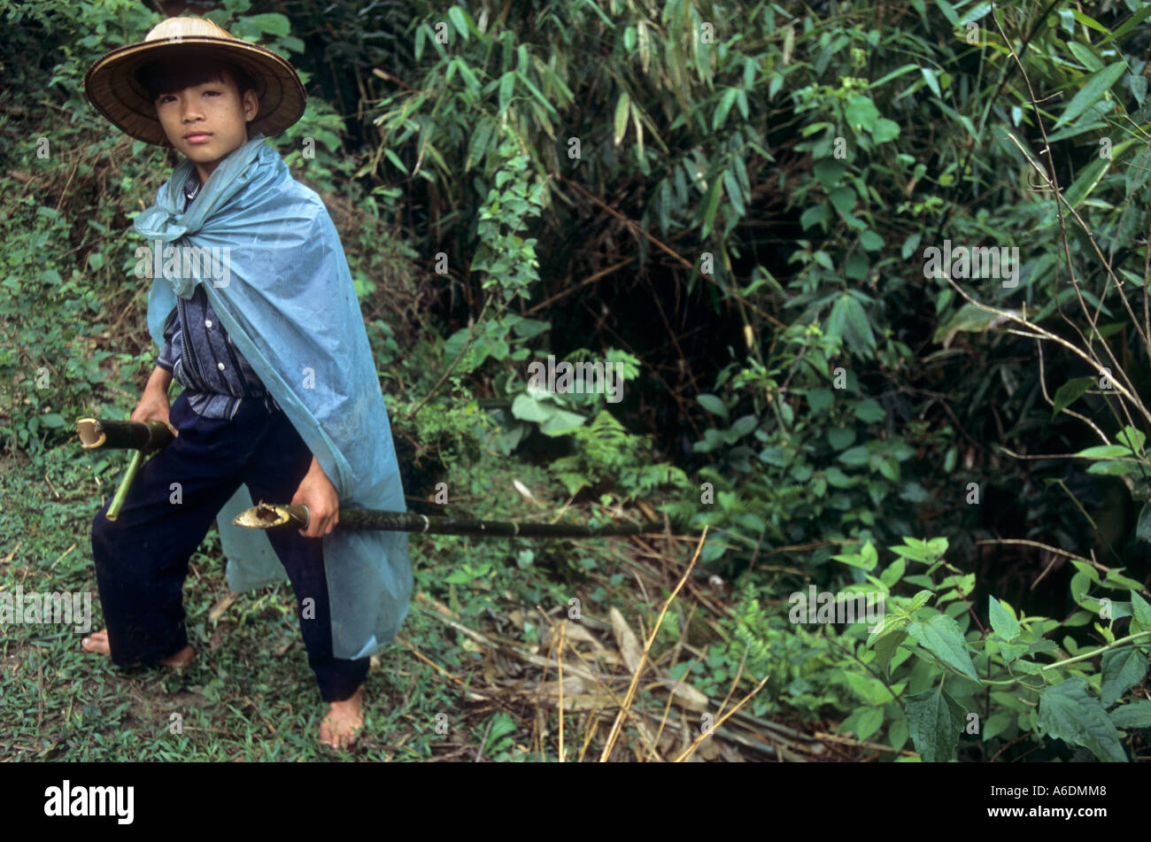 La réserve naturelle du GIA, Ha Giang, Vietnam Banque D'Images