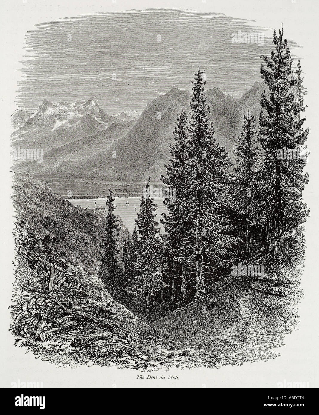 Le lac Léman montagne de dents du midi massif alpin suisse Swiss alp bois des forêts de conifères de la vallée de l'arbre Banque D'Images