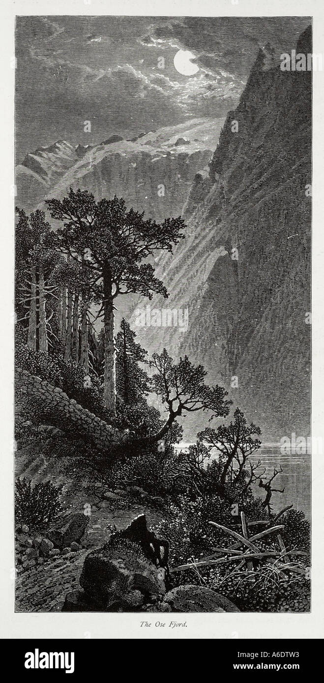 Fjord Fjord Norvège ose la glaciation nordique norvégien Scandinavia montagne eau rock forest tree valley moon light remote sauvages Banque D'Images
