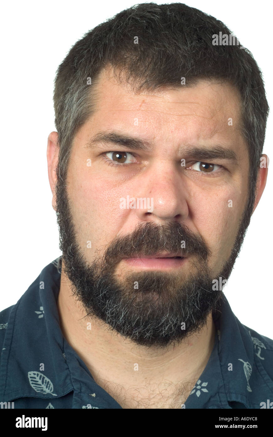 L'expression des visages à la barbe de l'appareil photo à l'homme velu confondu demande MR Banque D'Images