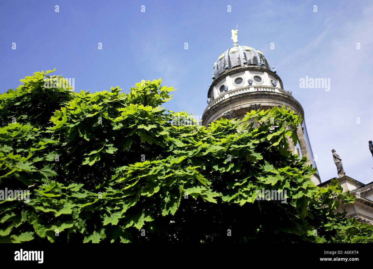 Cathédrale française avec Maple Tree sur le gendarme place du marché, dans le centre de Berlin. Banque D'Images