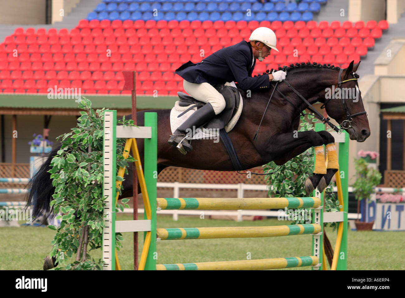 Cavalier Banque D'Images